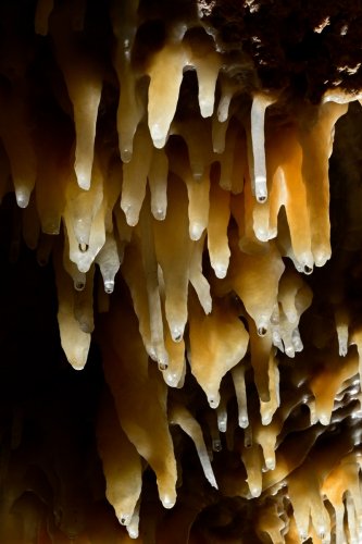 Grotte de Labouiche (Ariège) - Détail de petites stalactites(SP-23-1623)